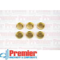 Premier Welch plug kit Thumbnail