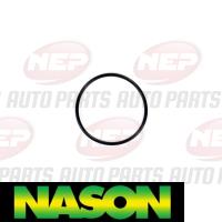 Nason Water pump Thumbnail