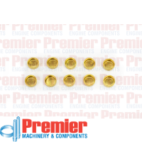 Premier Welch plug Thumbnail