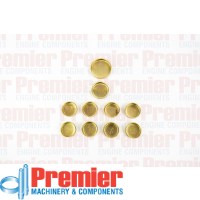 Premier Welch plug kit Thumbnail