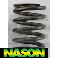 Nason Valve Spring Thumbnail