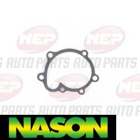 Nason Water Pump Thumbnail