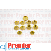 Premier Welch plug kit Thumbnail