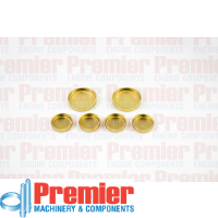 Premier Welch plug kit Thumbnail