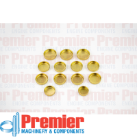 Premier Welch plug kit Thumbnail