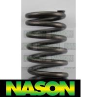 Nason Valve Spring Thumbnail