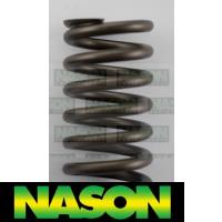 Nason Valve Spring Thumbnail