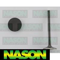 Nason Valve Inlet Thumbnail