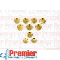 Premier Welch plug kit Thumbnail
