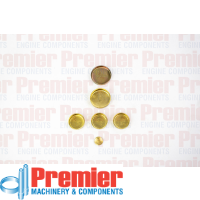 Premier Welch plug kit Thumbnail