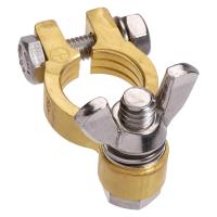 Projecta Forged Brass Wingnut Positive Battery Terminal Single Pack Thumbnail